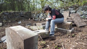 014 Zahájení čištění a dokumentace náhrobků na hřbitově ve Svatoboru    